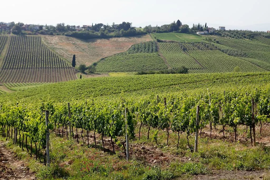 Agriturismo Borgo Vigna Vecchia Cerreto Guidi 0*,